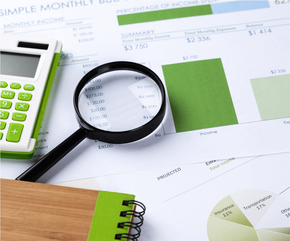 expert-audit-01