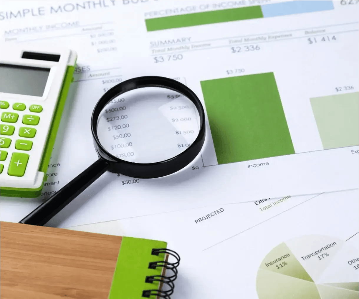 expert-audit-01 (1) (1)